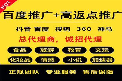 信息流广告成功案例分析